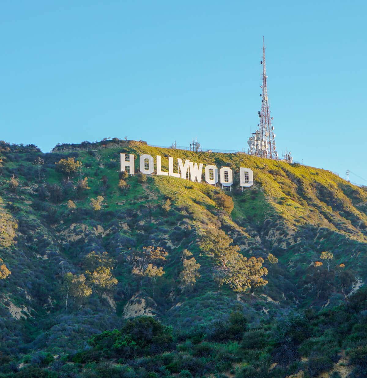 Finding ways to stay motivated in sunny Los Angeles includes going on a hike to the Hollywood sign.